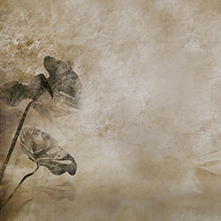 mural CG-NDC5169