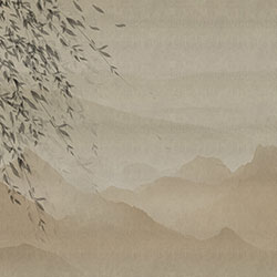 mural CG-NDC5250