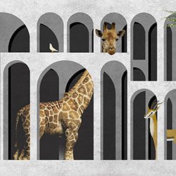 murals CG-NDC5187